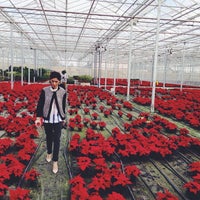 Photo taken at Grato Greenhouse by Mariam S. on 1/19/2014