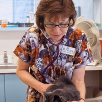 3/4/2014 tarihinde North Seattle Veterinary Clinicziyaretçi tarafından North Seattle Veterinary Clinic'de çekilen fotoğraf
