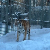 Photo taken at Novosibirsk Zoo by Tatiana🐾👑💎 B. on 2/26/2022