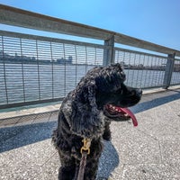 Photo taken at East River Esplanade South Dog Run by BD on 8/24/2021
