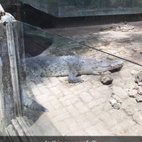 Photo taken at Bali Reptile Park by Alharith on 9/23/2017