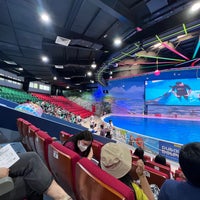 4/30/2022 tarihinde Seva D.ziyaretçi tarafından Dubai Dolphinarium'de çekilen fotoğraf