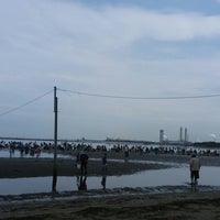 富津海岸潮干狩り場 5 Dicas De 338 Clientes