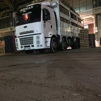 payallar meyve sebze toptanci hal 1 tavsiye