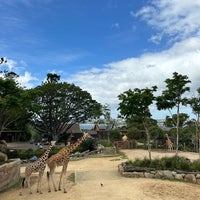 Photo prise au Taronga Zoo par Maryjane L. le3/8/2024