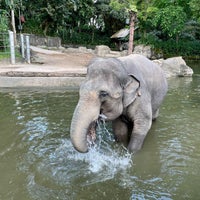 Photo taken at Elephants of Asia by Janie C. on 2/18/2022