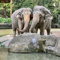Photo taken at Elephants of Asia by Janie C. on 1/8/2023