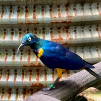 Photo taken at Jurong Bird Park by Janie C. on 9/11/2021
