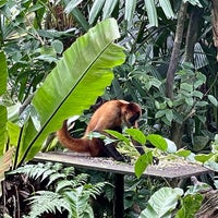Photo taken at Primate Kingdom by Janie C. on 1/1/2023