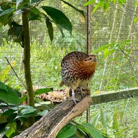 Photo prise au Jurong Bird Park par Janie C. le12/30/2022