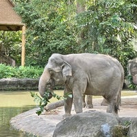 Photo taken at Elephants of Asia by Janie C. on 1/8/2023