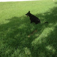 vca pines west animal hospital