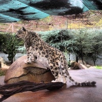 Photo taken at Snow Leopards by Dean L. on 12/18/2012