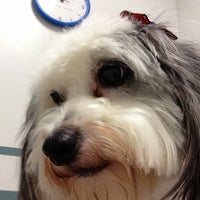 Photo taken at Northpark Animal Hospital by Michael L. on 12/15/2012