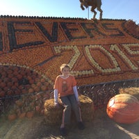 10/18/2015 tarihinde Nicole F.ziyaretçi tarafından Sever&amp;#39;s Corn Maze &amp;amp; Fall Festival'de çekilen fotoğraf