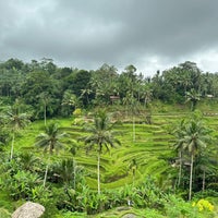 Photo taken at Tegallalang Rice Terraces by Aygün Ö. on 1/15/2023