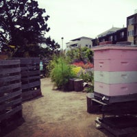 Photo taken at SF Bee Farm by Brad S. on 6/21/2014