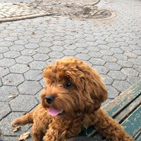 Photo taken at Stuyvesant Square Dog Park by Steve K. on 8/22/2019