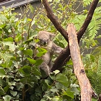 Foto tomada en Taronga Zoo  por 佳人 俏. el 3/17/2024
