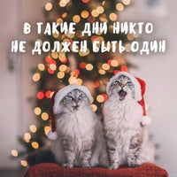 Photo taken at Газпромнефть АЗС № 19 by Анастасия М. on 12/25/2016
