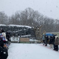 Photo taken at Asahiyama Zoo by Pahn P. on 3/19/2024