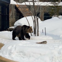 Photo taken at Asahiyama Zoo by Pahn P. on 3/19/2024