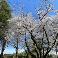 Photo taken at Johoku Chuo Park by たけのこ ご. on 4/7/2024