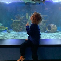 Photo taken at Aquarium of Niagara by Сусик on 8/27/2019