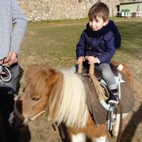 Osmanli Aile Cay Bahcesi Kir Dugunu Hatay