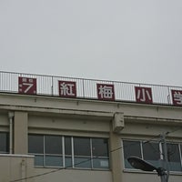 Photo taken at 板橋区立紅梅小学校 by ぞひ on 7/1/2017