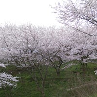 本居宣長 歌碑 しきしまの 大和心を 人問はば 朝日に匂ふ 山桜花 Monument Landmark 本居宣長 歌碑 しきしまの 大和心を 人問はば 朝日に匂ふ 山桜花 Monument Landmark
