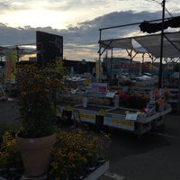 ジョイフル本田 ガーデンセンター 市原店 Flower Shop In 市原市 ジョイフル本田 ガーデンセンター 市原店 Flower Shop In 市原市