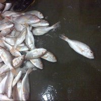 Senoko Fishery Port Woodlands 5 Tips From 367 Visitors