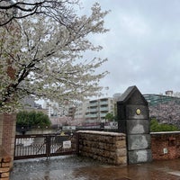 Photo taken at 目黒川船入場 by 桃 on 3/25/2023