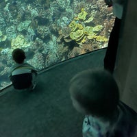 Foto diambil di National Aquarium oleh Alex P. pada 2/4/2024