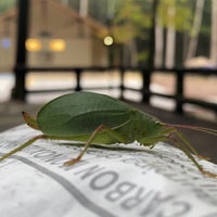 Photo taken at Vogel State Park by Ali A. on 9/27/2020