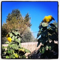 8/15/2014 tarihinde Stefano N.ziyaretçi tarafından Agriturismo Antica Sosta'de çekilen fotoğraf