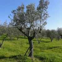 Photo taken at Agriturismo Antica Sosta by Stefano N. on 4/13/2013