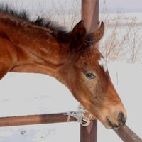 Photo taken at Скц Авантаж by Nika E. on 2/19/2013