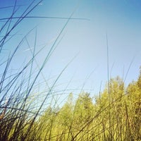 Щепкино болото зеленоград карта