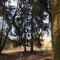 Photo taken at Памятник природы республиканского значения «Дубрава» by ałena V. on 3/28/2019