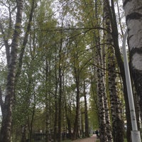 Photo taken at Муринский парк by Dmitry B. on 5/20/2020