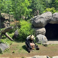 5/4/2024にTomoshige K.が上野動物園で撮った写真
