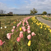 Photo taken at 淀川河川公園太間地区 by T A. on 4/10/2020