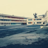 Van gogh ermont Clearance