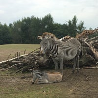 Safaripark Beekse Bergen Hilvarenbeek Noord Brabant
