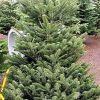 7/28/2017 tarihinde Cork Christmas Treesziyaretçi tarafından Cork Christmas Trees'de çekilen fotoğraf