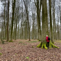 Photo taken at Forêt de Soignes / Zoniënwoud by Quentin D. on 4/17/2023