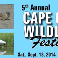 pasture audubon sanctuary wildlife mass