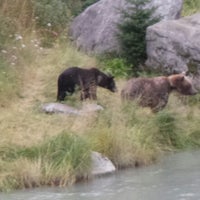 Photo taken at Haines, Alaska by Sam C. on 8/2/2016